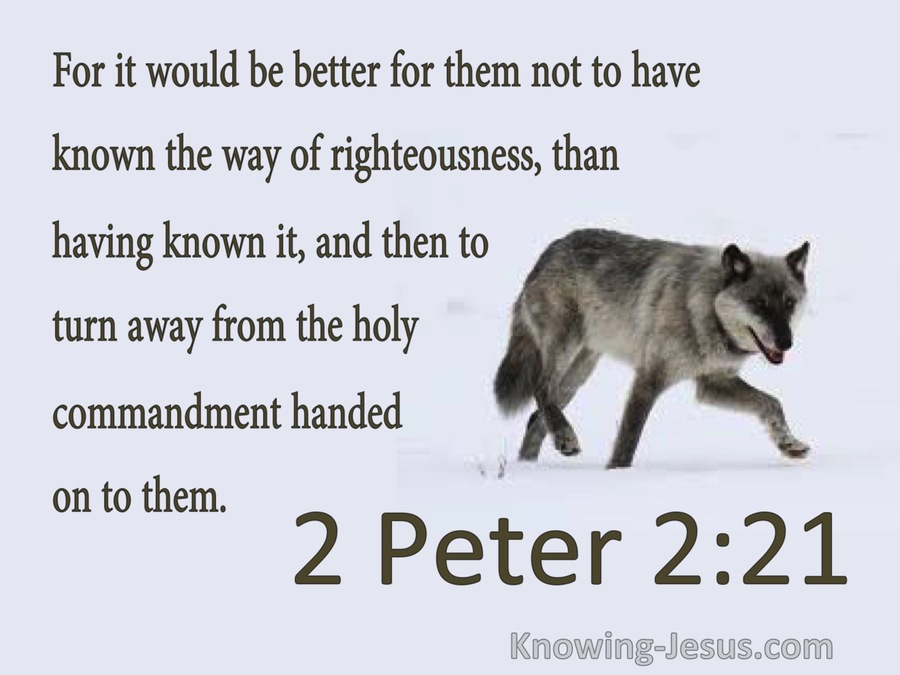 2 Peter 2:21 Better Not To Have Known Way Of Righteousness (gray)